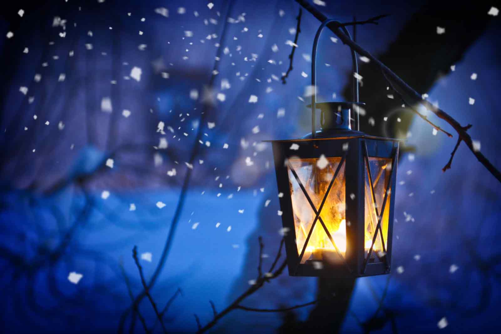 Christmas lights in the snow